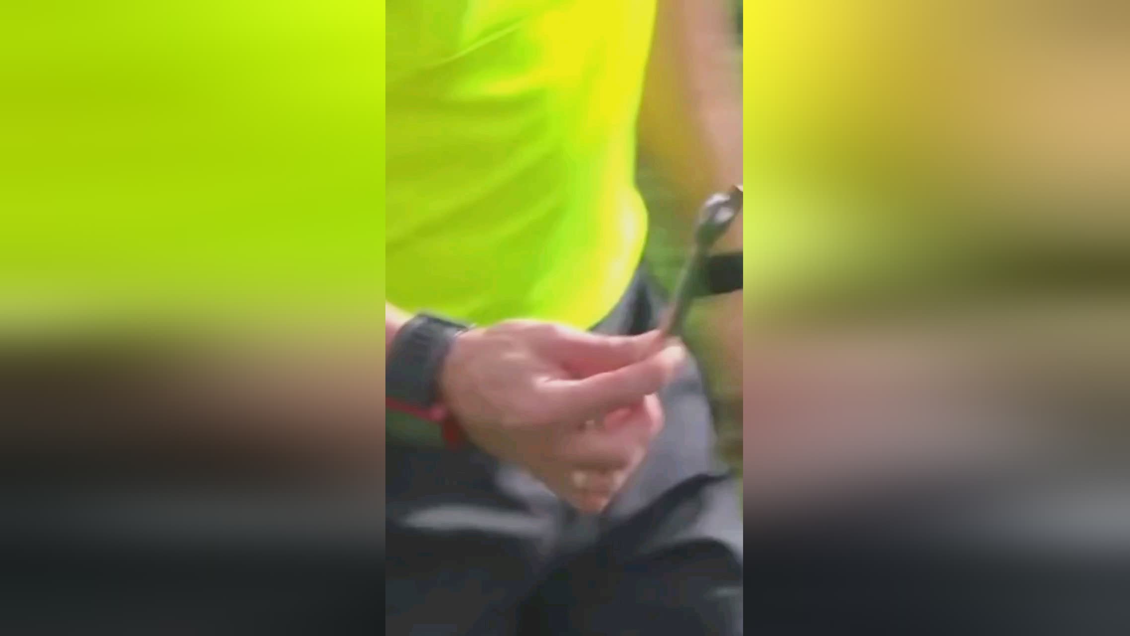 他不仅在