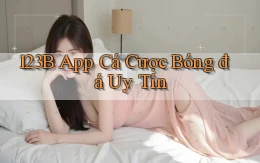 123b app cá cược bóng đá uy tín