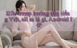 123b recap hướng dẫn tiếng Việt, all in là gì, Android 14