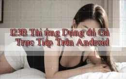123b  tải ứng dụng đá gà trực tiếp trên android