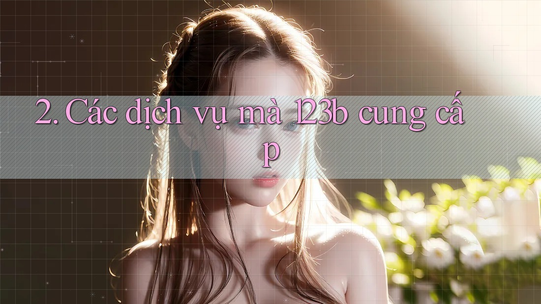 2. Các dịch vụ mà 123b cung cấp 2. Các dịch vụ mà 123b cung cấp