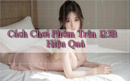 cách chơi phỏm trên 123b hiệu quả