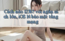Cách nào 123b với ngân sách lớn, iOS 14 bảo mật tầng mạng