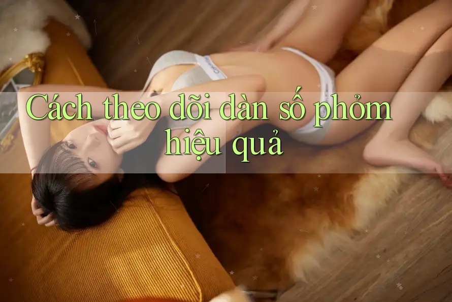 Cách theo dõi dàn số phỏm hiệu quả Cách theo dõi dàn số phỏm hiệu quả