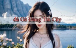 đá gà Đáng tin cậy