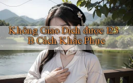 không giao dịch được 123b cách khắc phục
