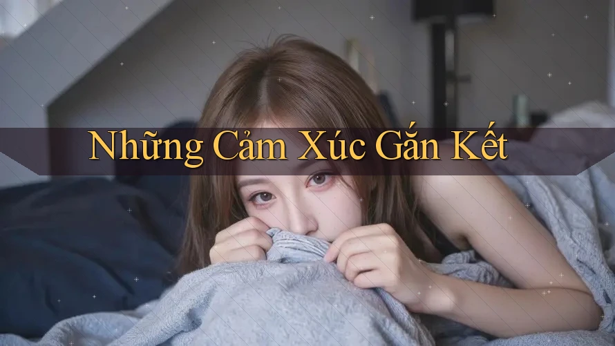 Những Cảm Xúc Gắn Kết Những Cảm Xúc Gắn Kết