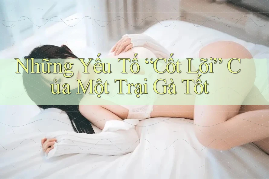 Những Yếu Tố “Cốt Lõi” Của Một Trại Gà Tốt Những Yếu Tố “Cốt Lõi” Của Một Trại Gà Tốt