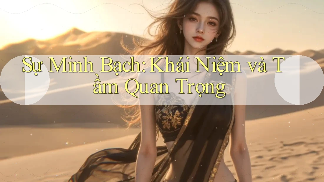 Sự Minh Bạch: Khái Niệm và Tầm Quan Trọng