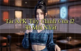 tải apk tùy chỉnh của 123b mới nhất